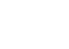 Optimize Ortho